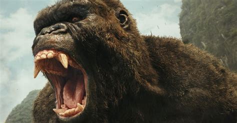 does king kong die 2005|king kong 2005 skull island.